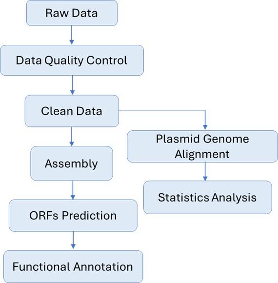The Bioinformatics Analysis pipeline of Whole Plasmid Sequencing